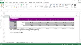 How to Use Excel Scenario Manager [upl. by Putnam]