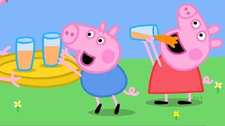 Peppa Pig in Hindi  Hichakee  हिंदी Kahaniya  Hindi Cartoons for Kids [upl. by Markus838]