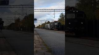 Rc6 med UB2Xtransport passerar Häggvik train railway trainspotting sweden shorts [upl. by Adneral312]