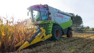 Battage de maïs grain et broyage avec un 8270R  Sarl Agri Services [upl. by Keldon]