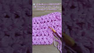 🧦 Calcetines a CROCHET El tutorial en Uva Madura Crochet en YouTube [upl. by Elatia]