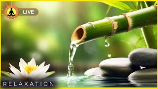 🔴 Relaxing Zen Music 247 Stress Relief Music Sleep Music Meditation Music Study Calming Music [upl. by Ainniz769]