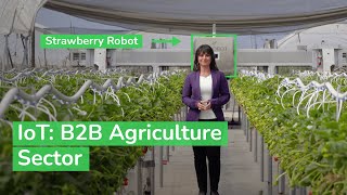 IoT Powering the Digital Economy  The B2B Agriculture Sector  Schneider Electric [upl. by Ammej87]