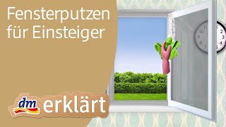 dm erklärt Haushalt für Einsteiger  Fenster putzen [upl. by Strickman]