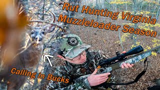 Rut Hunting Virginia Muzzleloader Season DEER EVERYWHERE Grunting In Bucks [upl. by Kakalina]