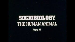 Sociobiology The Human Animal  Part II  1977 [upl. by Carin]