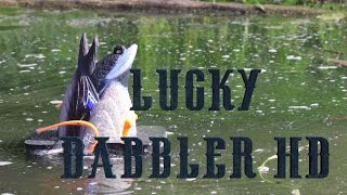 NEW Lucky Duck Dabbler HD Motion Duck Decoy [upl. by Araj]