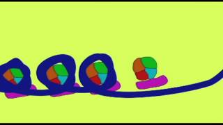 GENETICS 3 HISTONES amp CHROMOSOME STRUCTURE [upl. by Repotsirhc]