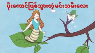 カイコに なったおひめさまပိုးကောင်ဖြစ်သွားတဲ့ မင်းသမီးလေး [upl. by Map457]