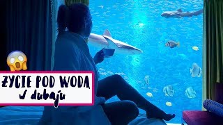 PODWODNY HOTEL 😱 Rekiny delfiny i płaszczki  Dubai Vlog  Agnieszka Grzelak Vlog [upl. by Cram]