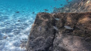 Sithonia blue waters  snorkeling [upl. by Alyag359]