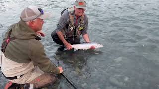 Fly Fishing British Columbia  Day 2 Skeena  Combat Fishing 270823 4K [upl. by Kela]