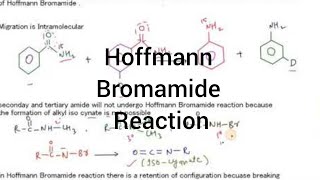 Hoffmann Bromamide Reaction I Amines I Particles Academy [upl. by Chase]