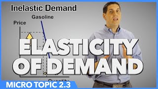 Elasticity of Demand Micro Topic 23 [upl. by Gnouhp]