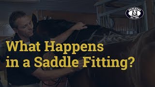 What to Expect in a Saddle Fitting by Schleese Saddlery [upl. by Thetis105]