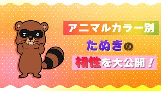 【動物占い】たぬきのアニマルカラー別相性を大公開！ [upl. by Penny]