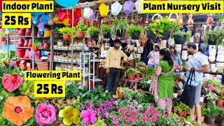 Plant Nursery visit  पौधे की कीमत 25 Rs  Plant Price with Names  Amit Nursery 🌻🌺 [upl. by Eelanna]