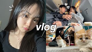 morando sozinha na coreia date uni vlog reunited w bestie café de gatos gyeongju world [upl. by Eledoya173]