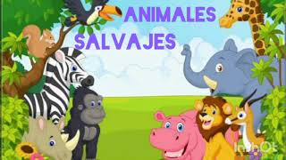 Animales salvajes para niños [upl. by Ladnek]