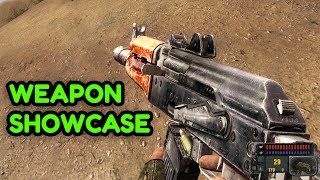 STALKER Call of Pripyat  ALL WEAPONS Showcase [upl. by Mafalda674]