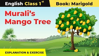 Class 1 English Unit 6  Muralis Mango Tree Story  Explanation and Exercise  Marigold Book [upl. by Poliard271]