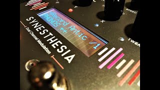 GFI Systems Synesthesia  Record Antics amp Phono Filters Algorithm Demo [upl. by Ashbey]