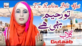 Beautiful Hamd 2019  Tu Rahim Bhi Hai Urdu  Gulaab  HiTech Islamic Naat [upl. by Okiruy]