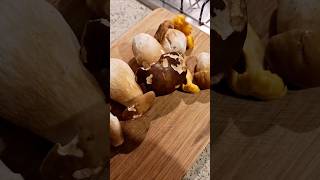 🍝 Creamy Porcini Mushroom Tagliatelle Recipe  Authentic Italian Pasta Dish [upl. by Zoila229]