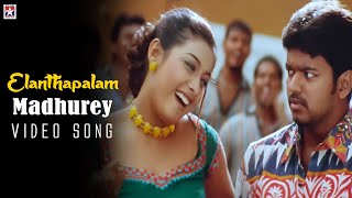 Elanthapalam HD video song  madhurey  Thalapathy vijay  Sonia Agarwal  Tamil music video [upl. by Ardnuaet]