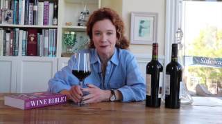 The Wine Clip Know Carménère  6 Key Facts [upl. by Marlow199]