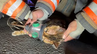 How an Apple AirTag saved our cat in a house fire EMS saved him with CPR [upl. by Innep]