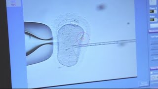 California Cryobank addresses lack of diversity among sperm donors [upl. by Aneri]