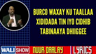 Heesta Togdheer  Nuur Daalacay  LYRICS walishow [upl. by Canning]