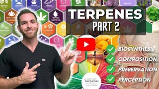 Terpenes Part 2 Biosynthesis Composition Preservation and Perception [upl. by Ylloj573]