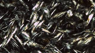 Trachyte Obsidian Thin Section [upl. by Ivah]