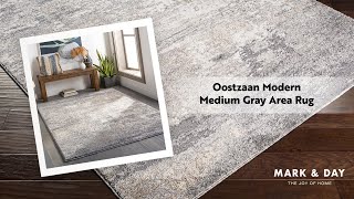 Oostzaan Modern Medium Gray Area Rug [upl. by Erbma]