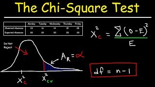 Chi Square Test [upl. by Ringe]