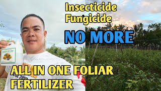 FOLIAR FERTILIZER NA ALL IN ONE [upl. by Celestia61]