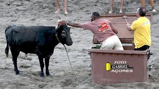 Tourada Areal da Praia 11 Agosto 2024 Ganadeiro ER [upl. by Lissner]