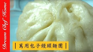 【夢幻廚房在我家】基礎肉包萬用麵糰配方不藏私！萬用包子饅頭麵皮大公開，老師傅的配方第一集麵團篇 How to make Basic Dough for Chinese buns ep1 [upl. by Seafowl23]