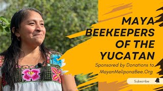 Maya Beekeepers of the Yucatan [upl. by Trescott]