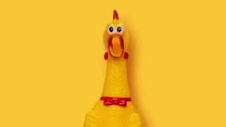 Rubber Chicken Song [upl. by Arnaud]