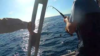 Esperance Deep Sea Angling Classic [upl. by Rora]