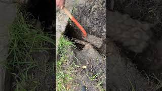 Replacing 2 inch pressure regulator and fixing leak plumbing milwaukee shorts [upl. by Whitehouse]