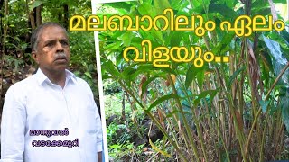 മലബാറിൽ ഏലം വിളയുമോ Manuel Elam 2 [upl. by Iveel]