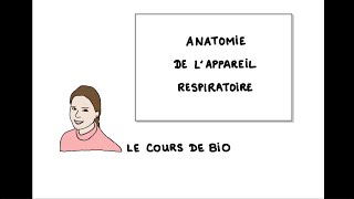 Anatomie de l’appareil respiratoire [upl. by Dall399]