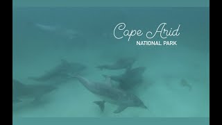 Cape Arid National Park [upl. by Brunn]