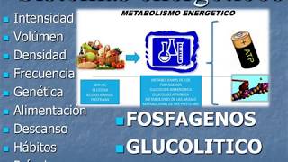 BIOENERGETICA [upl. by Flss]