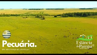 ESTÂNCIA À VENDA NO URUGUAY COM 950 HA FAZENDA À VENDA [upl. by Olnton]