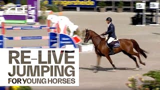 RELIVE  FEI World Breeding Jumping Championship for Horses 6Years of Age [upl. by Ennaoj78]